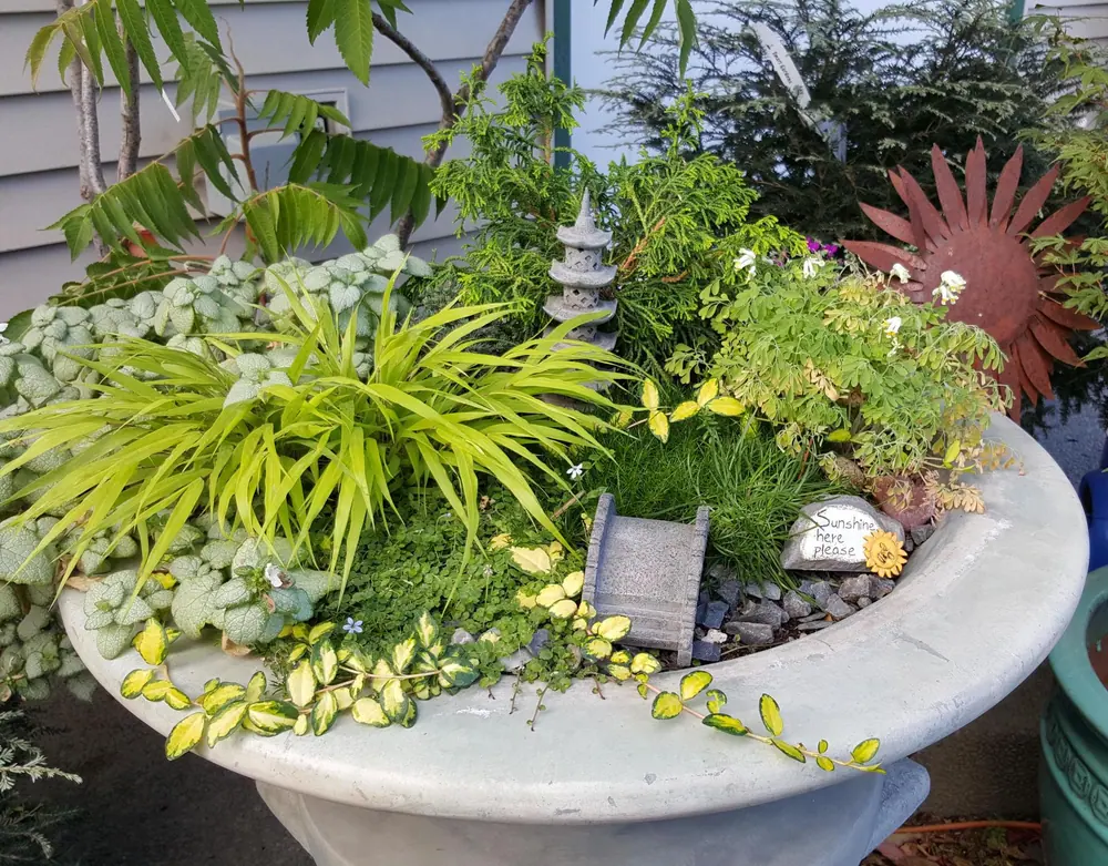 Shallow bowl planter filled with small green plants and garden ornaments